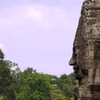 Bayon-purple-PA184243.jpg