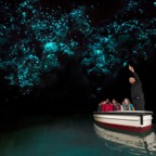 4_Waitomo_Glowworm_Caves_Waikato.jpg