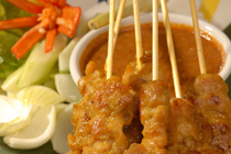 210px-SATAY-(6)