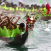Dragon-Boat-Paddlers---89759H