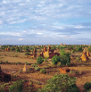 Temples-of-Bagan,-Myanmar
